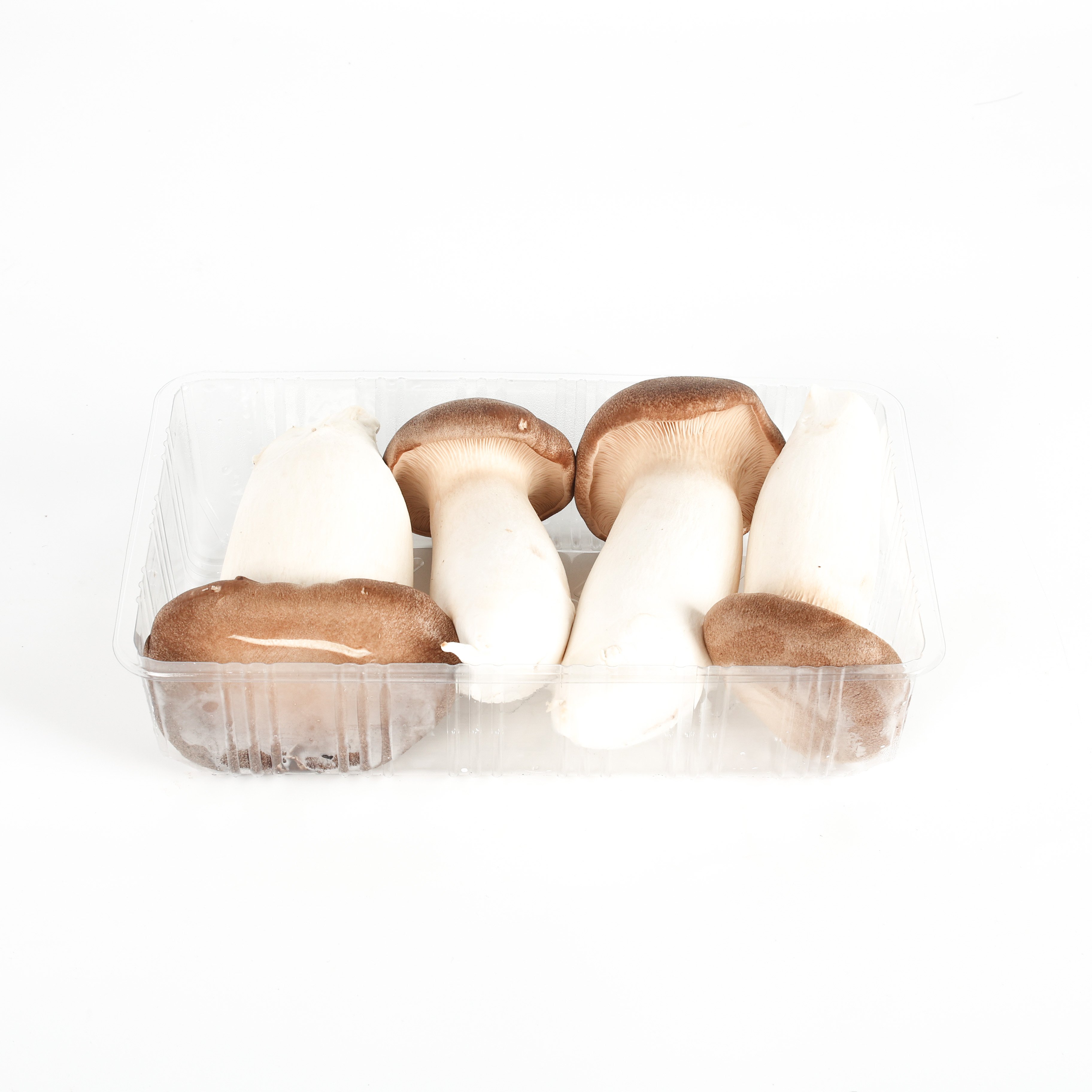Applications Culinaire Versatiles