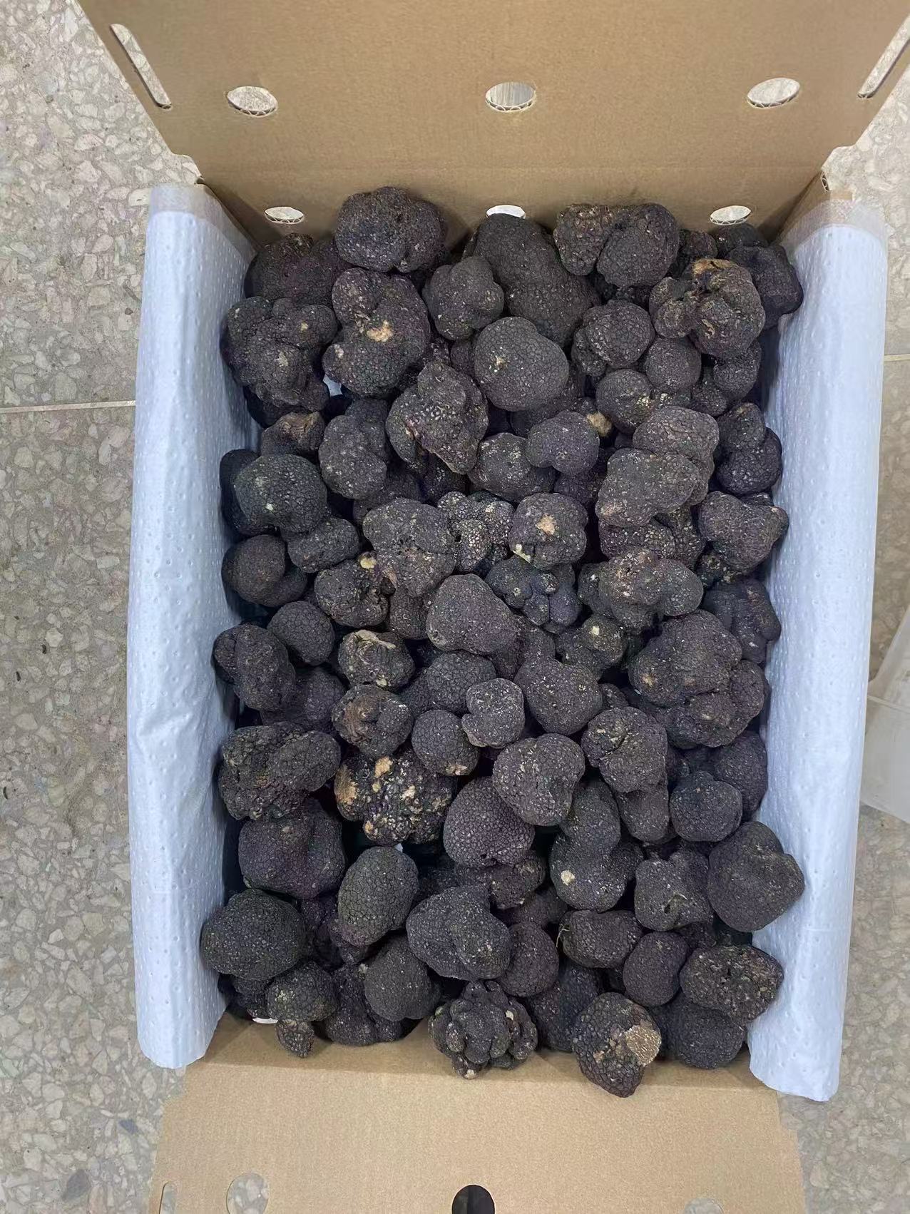 Descoperiți exquisitul truf de vară negru din Shanghai Detan Mushroom & Truffles Co., Ltd.