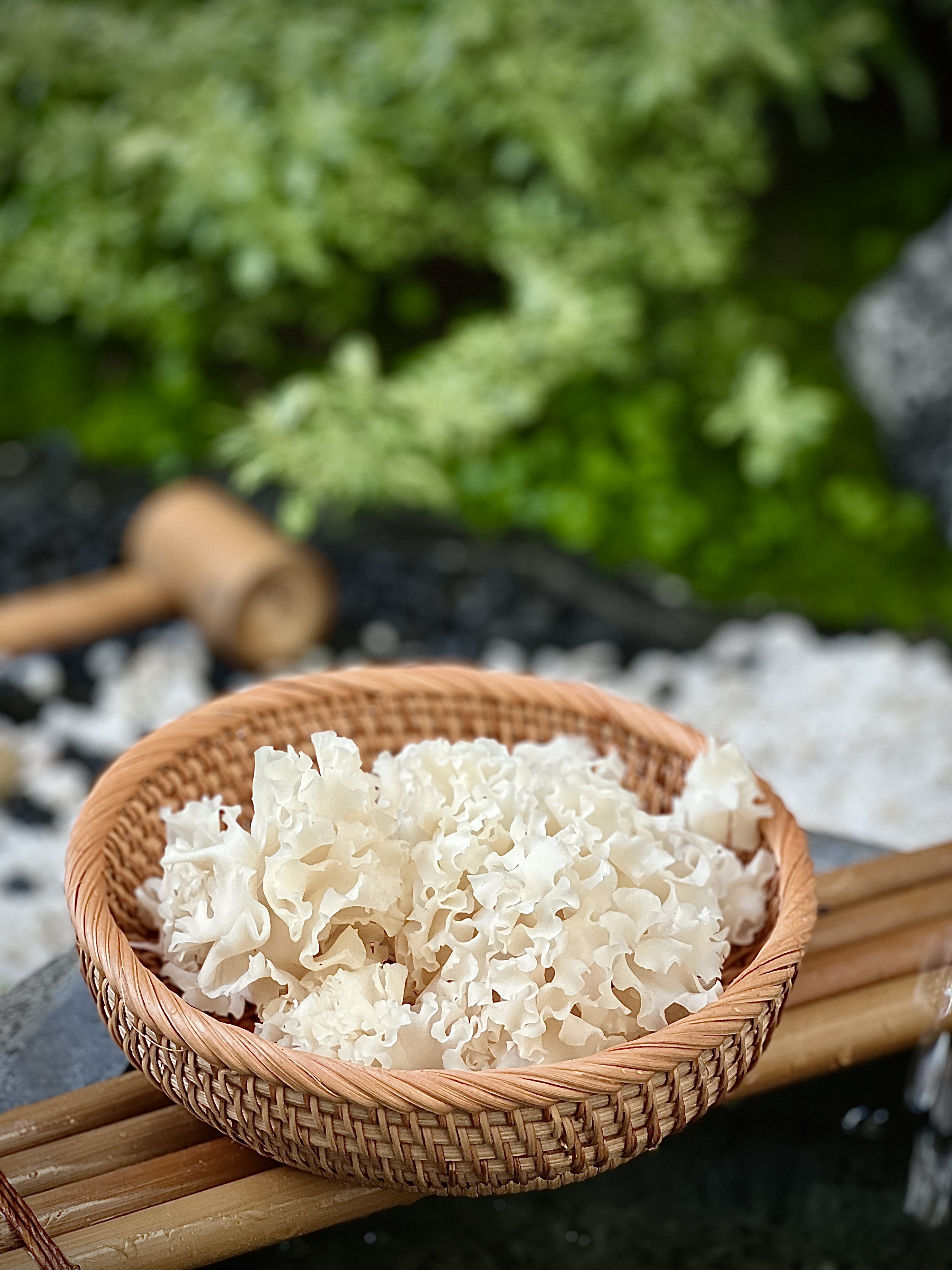 Champignon chou-fleur haut de gamme de Shanghai Detan Mushroom & Truffles Co., Ltd.