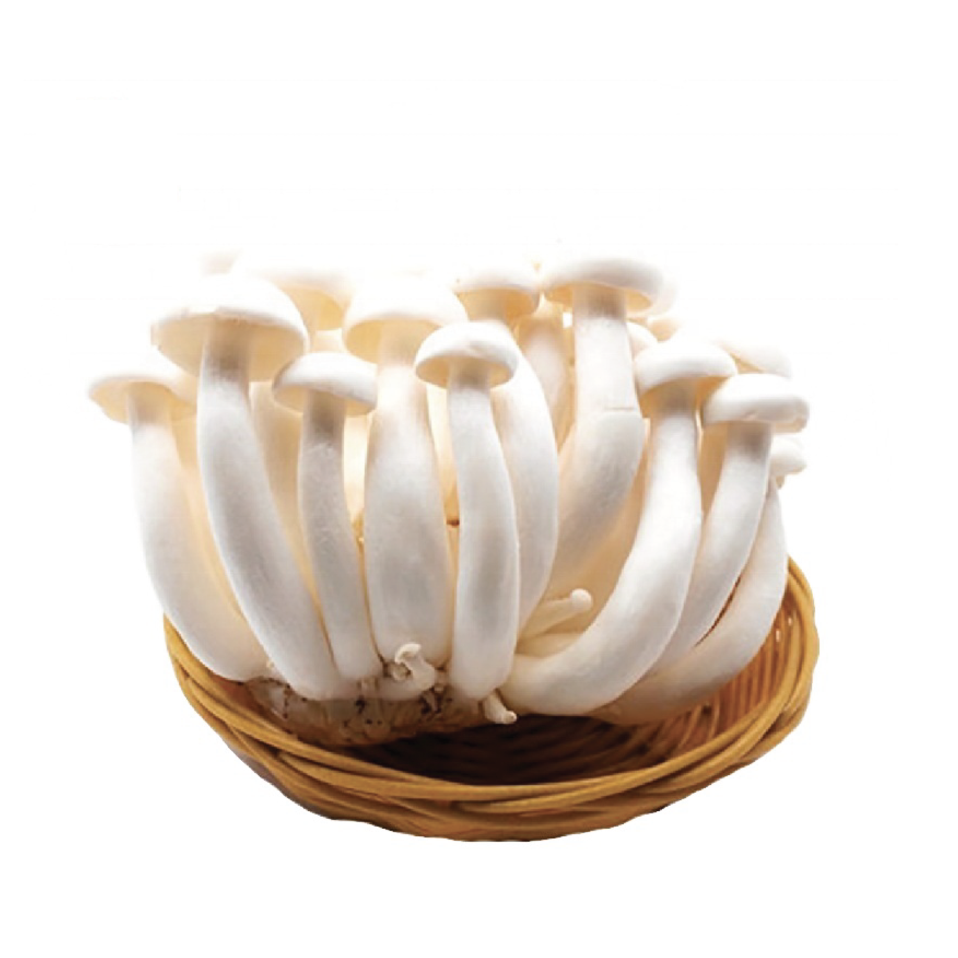 White Shimeji Mushroom