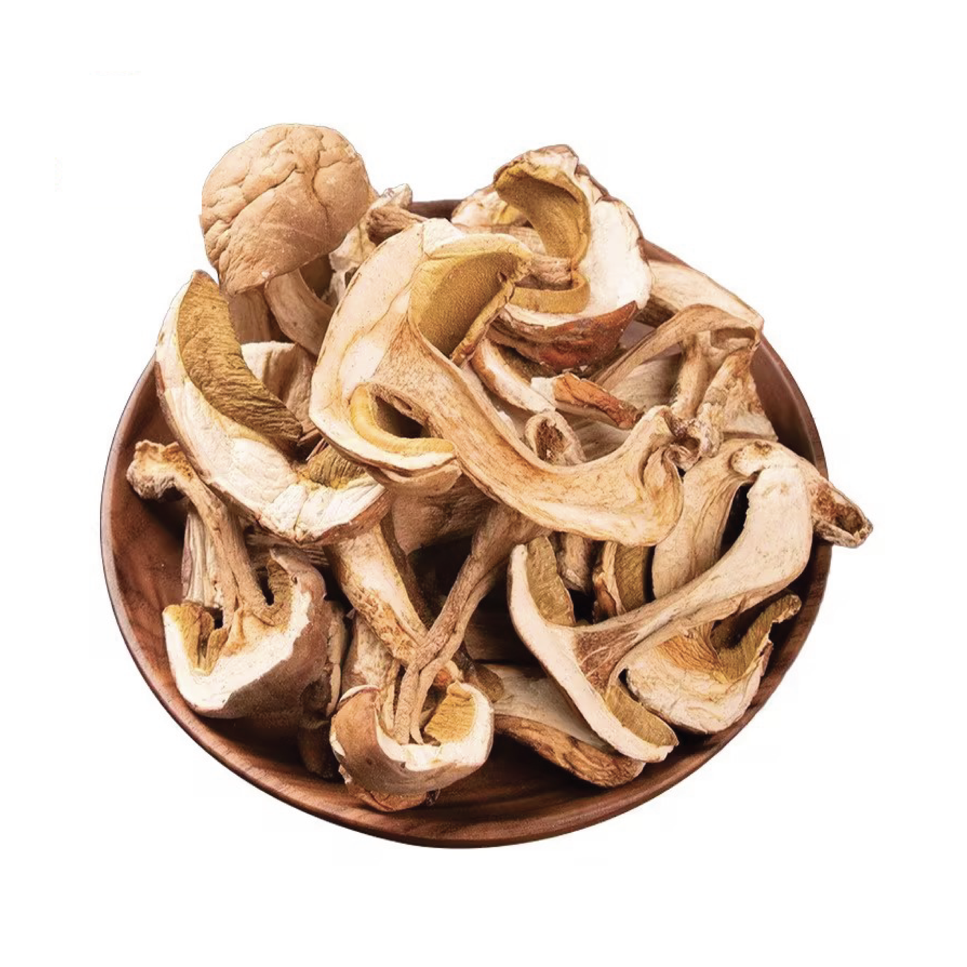 Boletus Edulis Slices