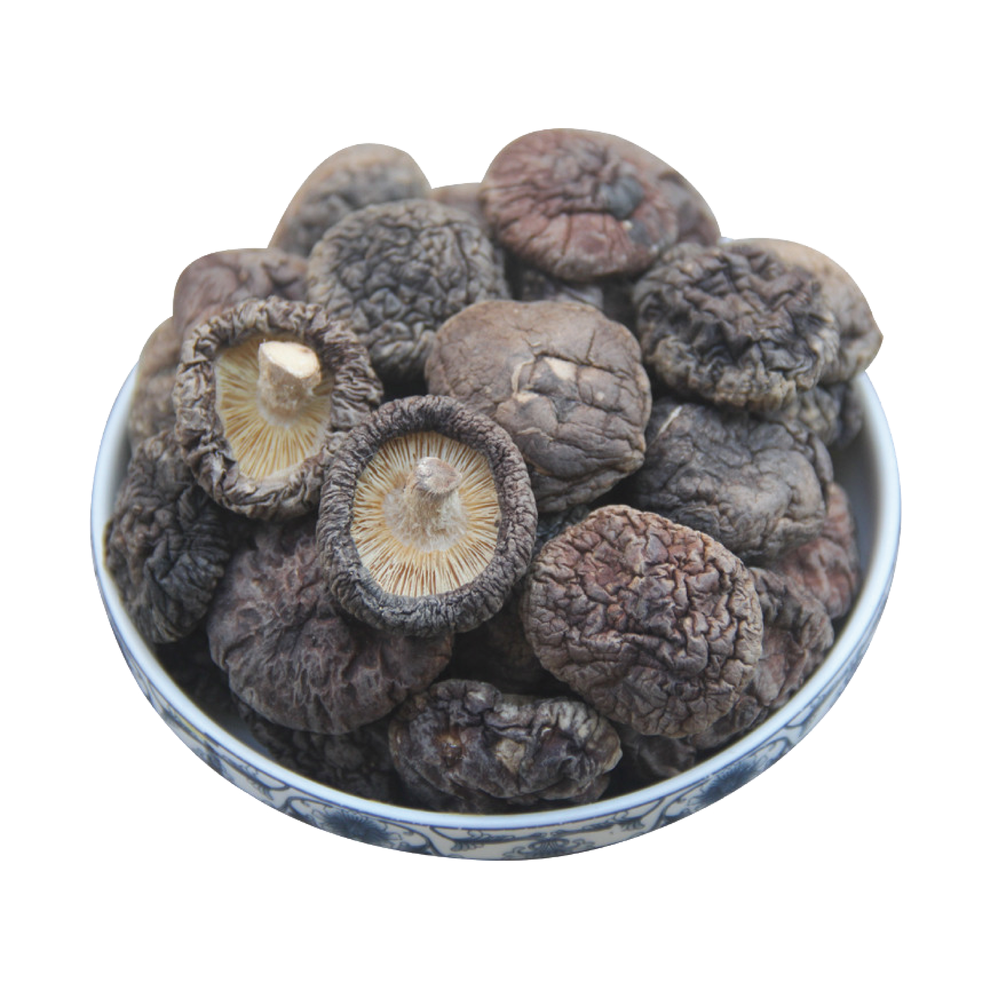 Expérience authentique de la truffe