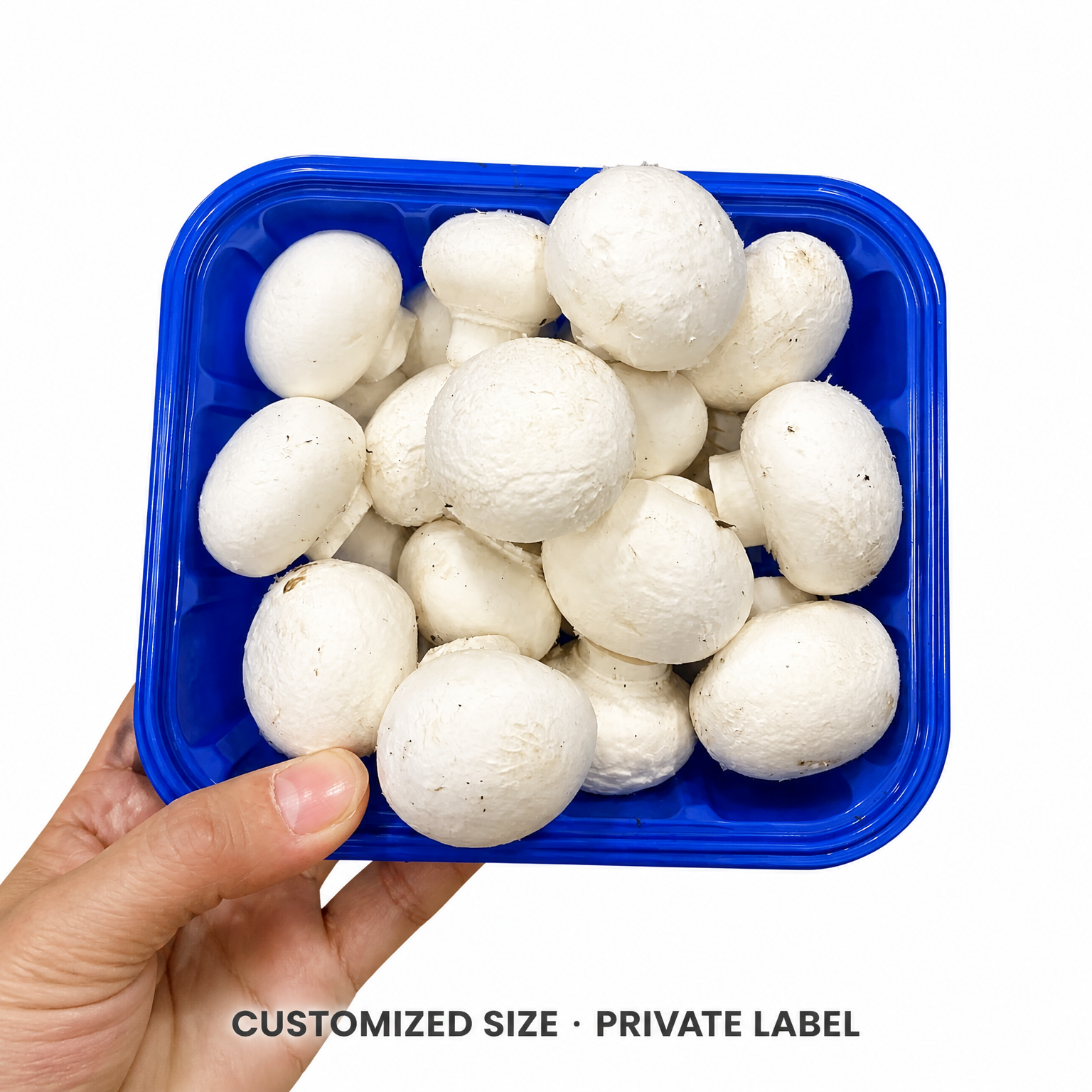 White Mushroom Purchasing Guide for Reliable Food Supply Chains