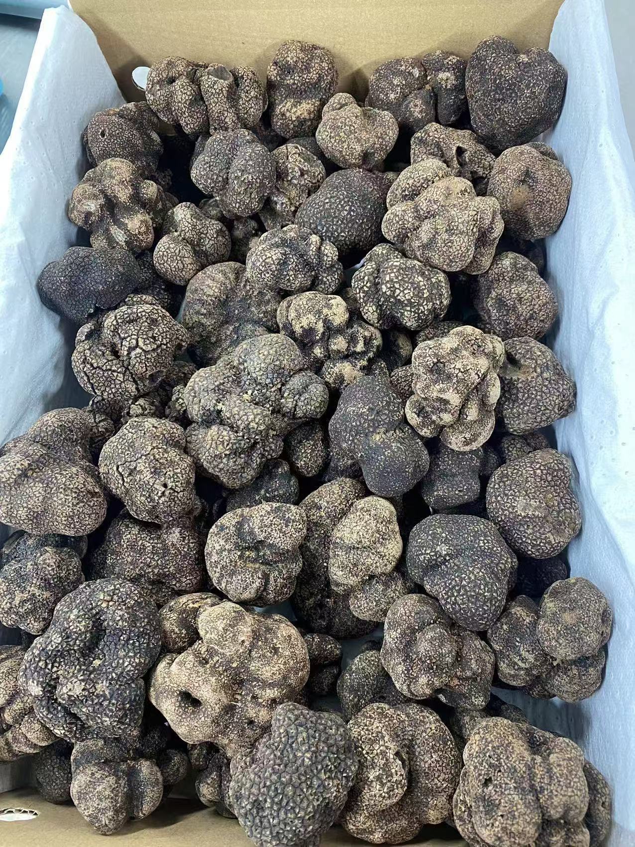 Trufele premium Tuber Melanosporum din Shanghai Detan