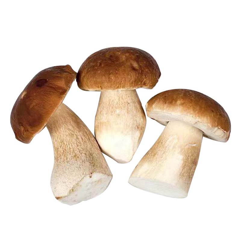 Utilizări Culinarie Versatile