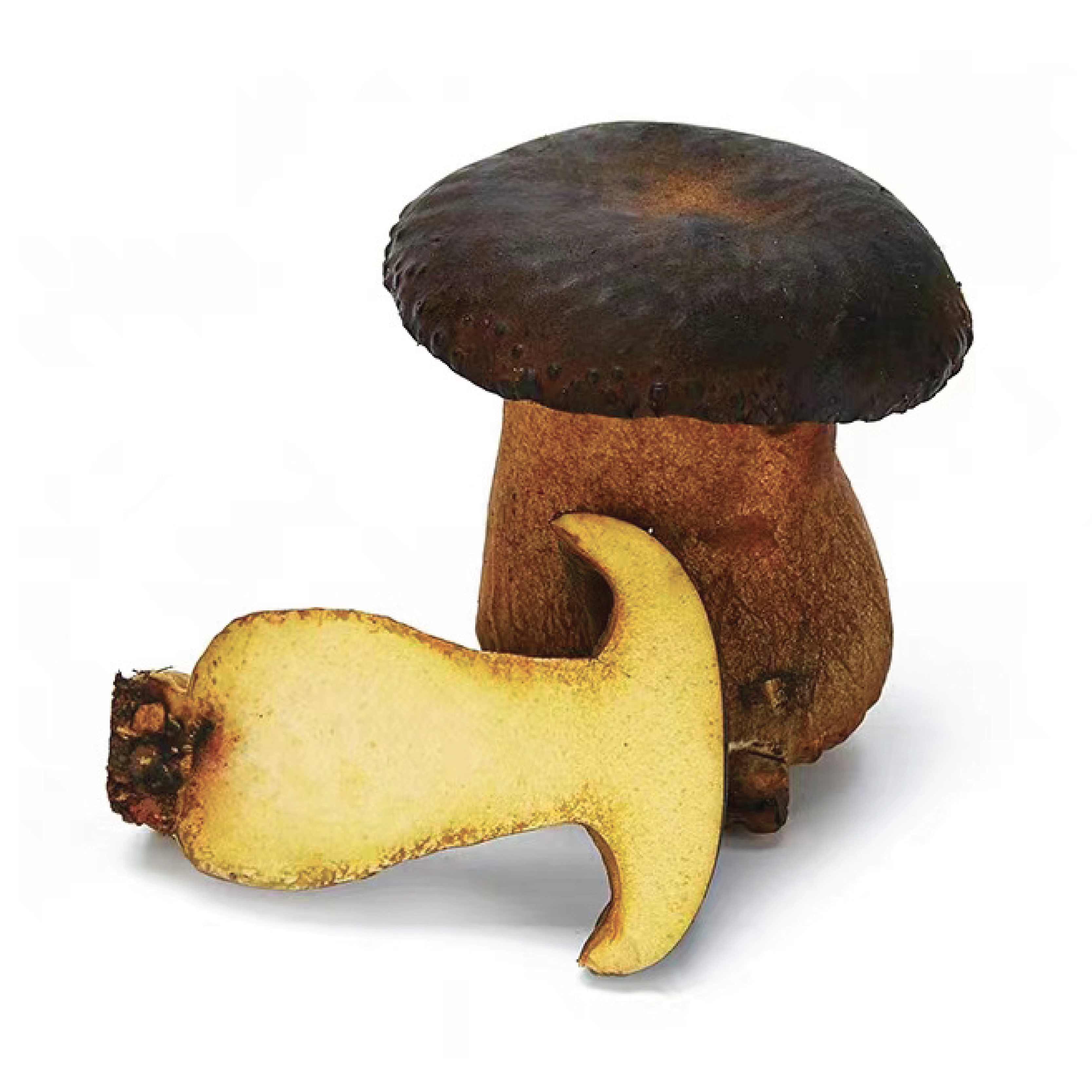 Saveur Inégalée