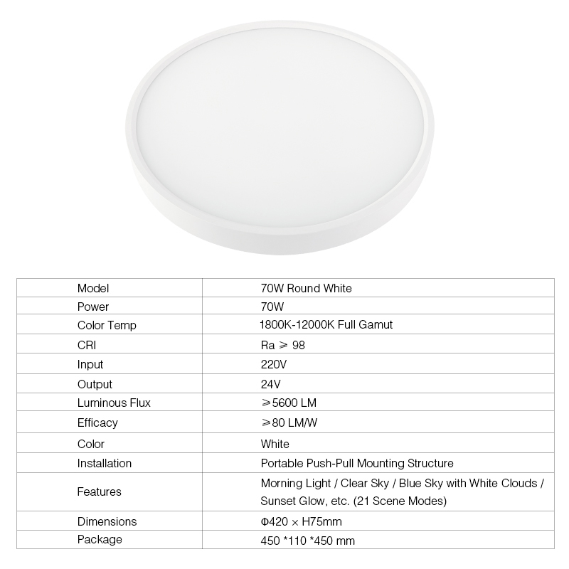 2025 modern simulated natural light color high end ceiling lamp suitable for bedroom living room-2
