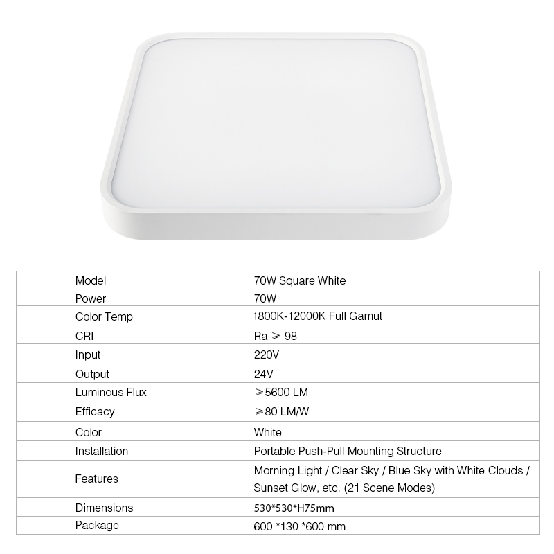 2025 modern simulated natural light color high end ceiling lamp suitable for bedroom living room-4