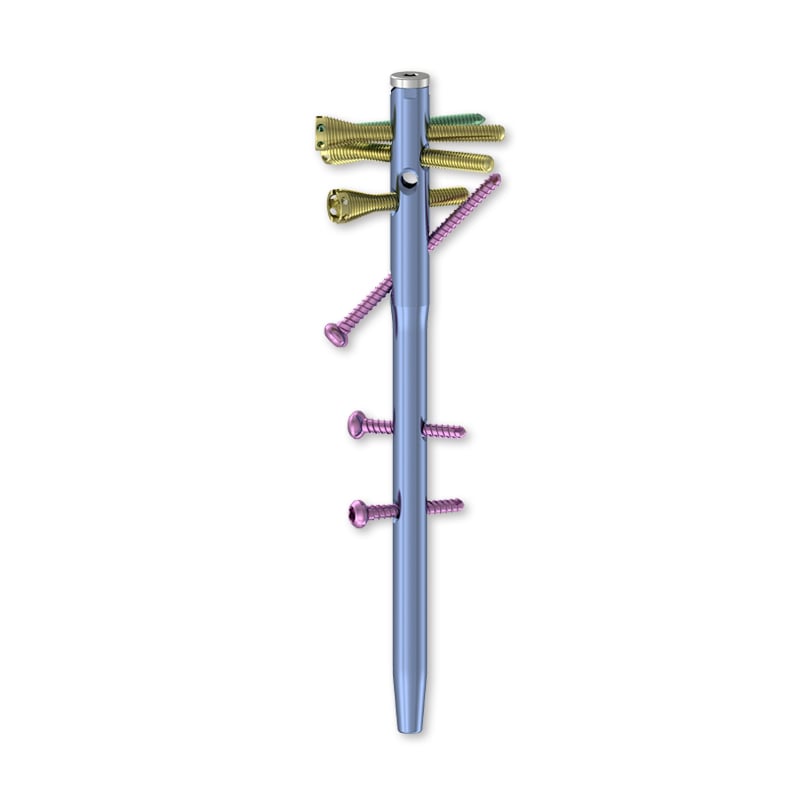 Versatile Polyaxial Head Technology