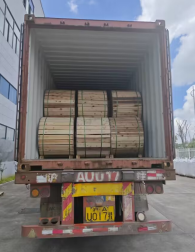 Wanbao ADSS Single Jacket 100m Span Data Sheet.png