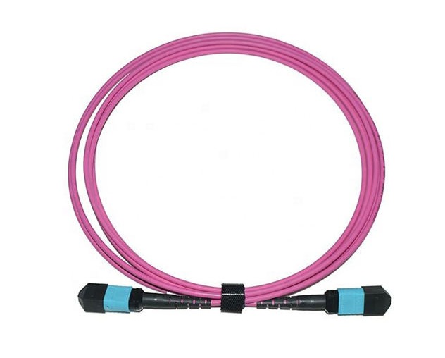 OM4 MPO patch cord (1).png
