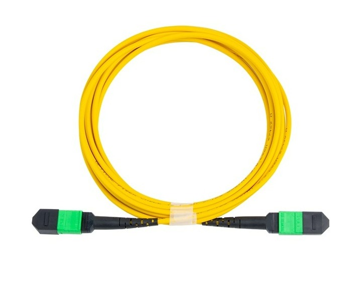 OS2 MPO patch cord (1).jpg
