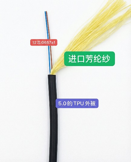 图片9.jpg