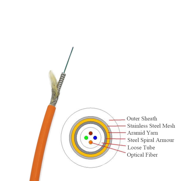 24 Core Braided Stainless Steel Armored Indoor Fiber Optic Cable | Single Mode & Multimode | Spiral Steel Tube + Steel Mesh Double Armor | PVC LSZH Jacket 6.0mm