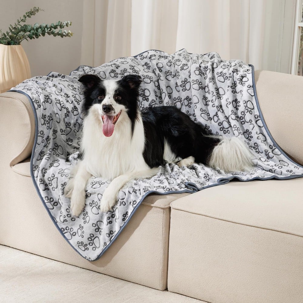 pet flannel blanket