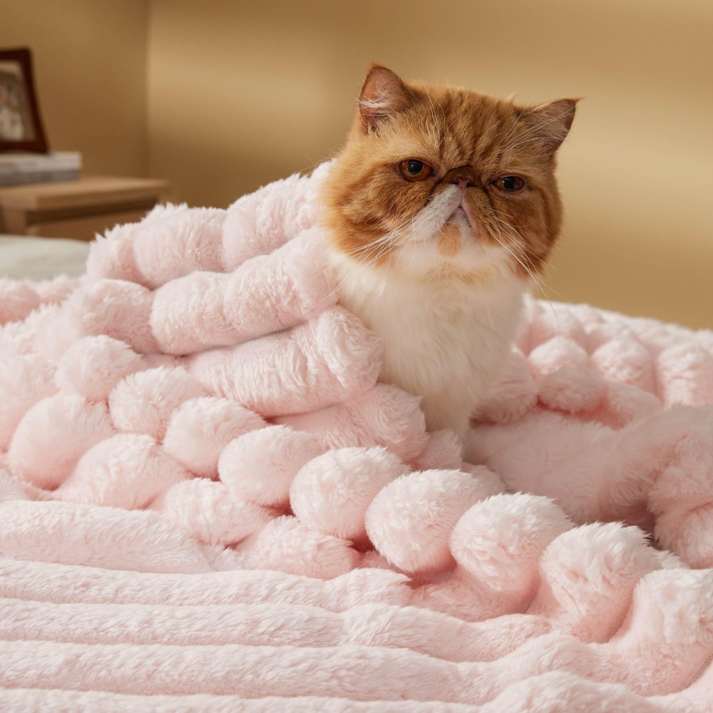 Strip Flannel Blanket