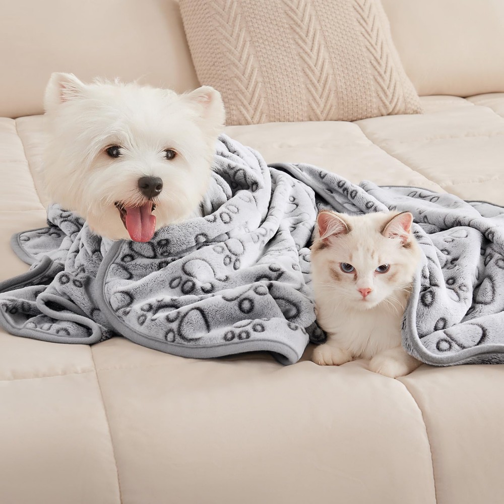 pet flannel blanket