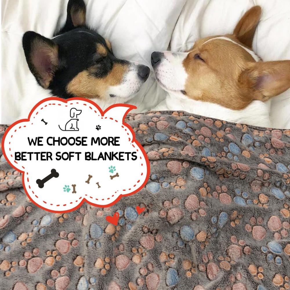 pet flannel blanket