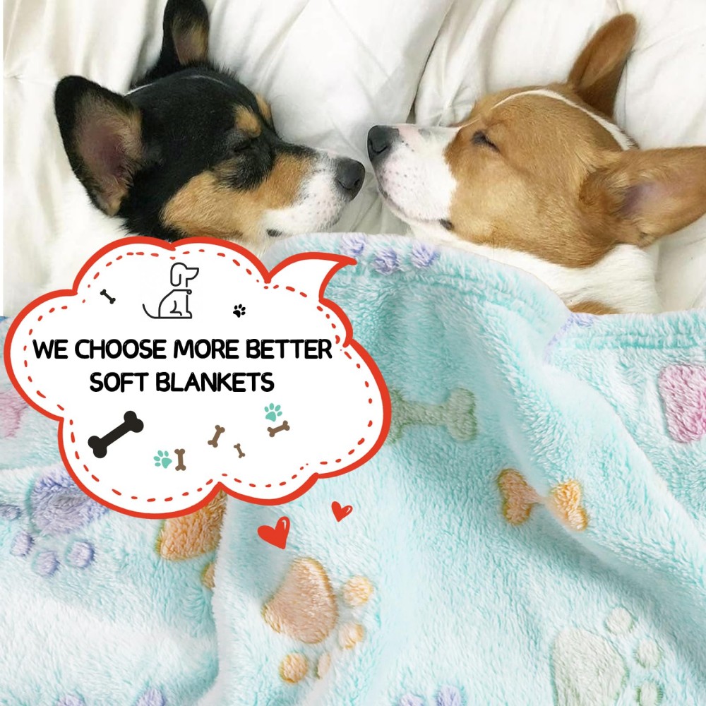 pet flannel blanket