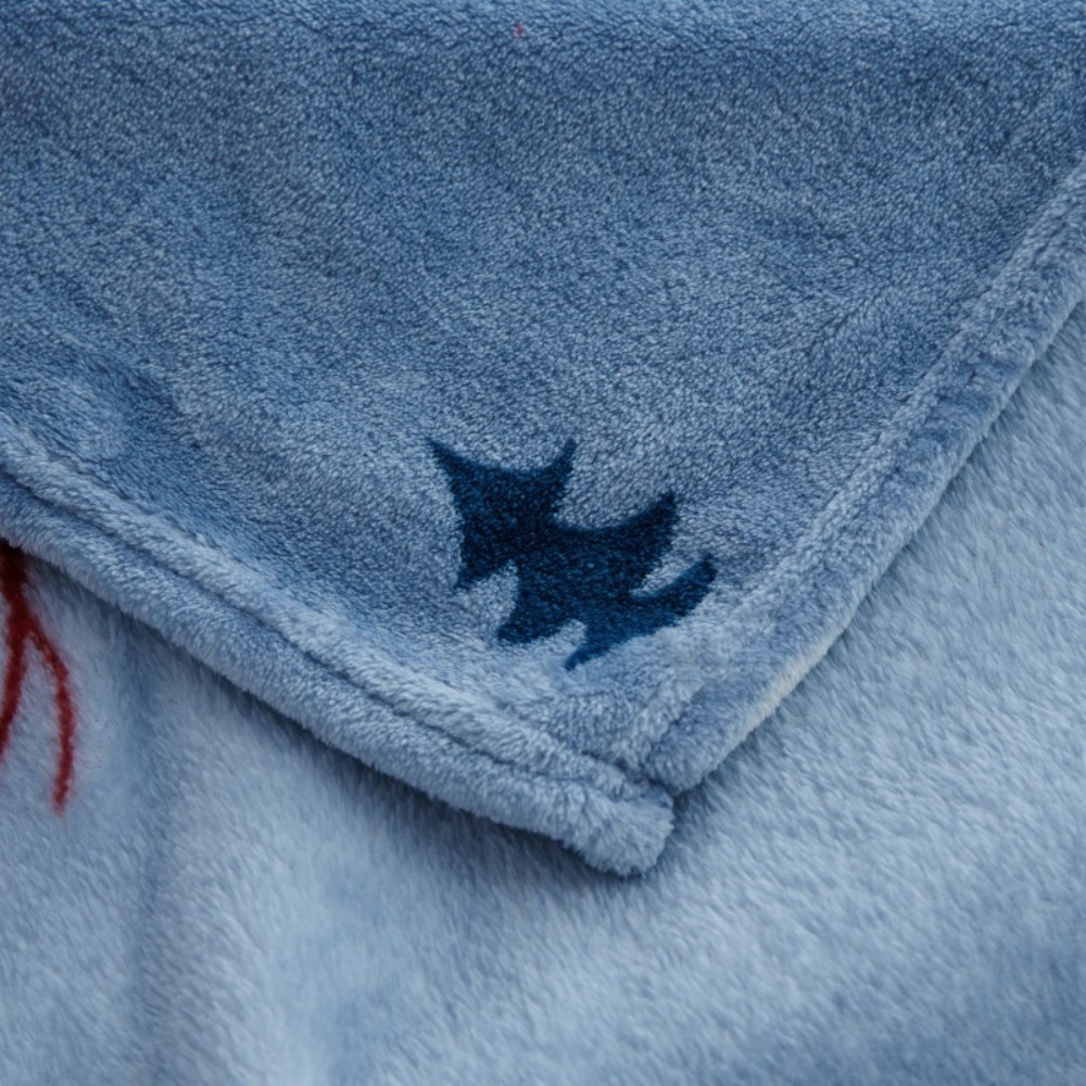 print flannel blanket