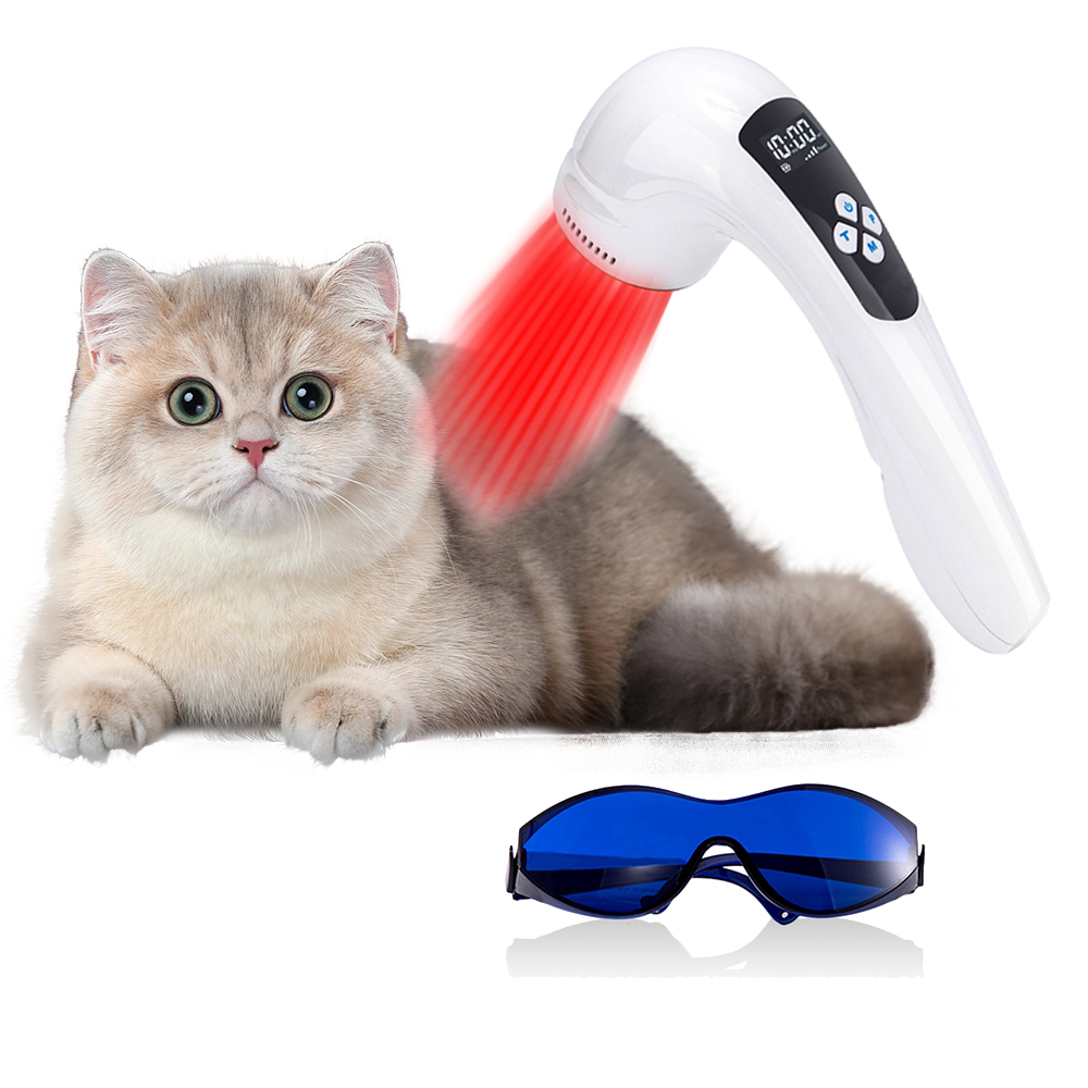 Vet Approved Infrared Therapy Relieves Dog Arthritis Pain Quickly