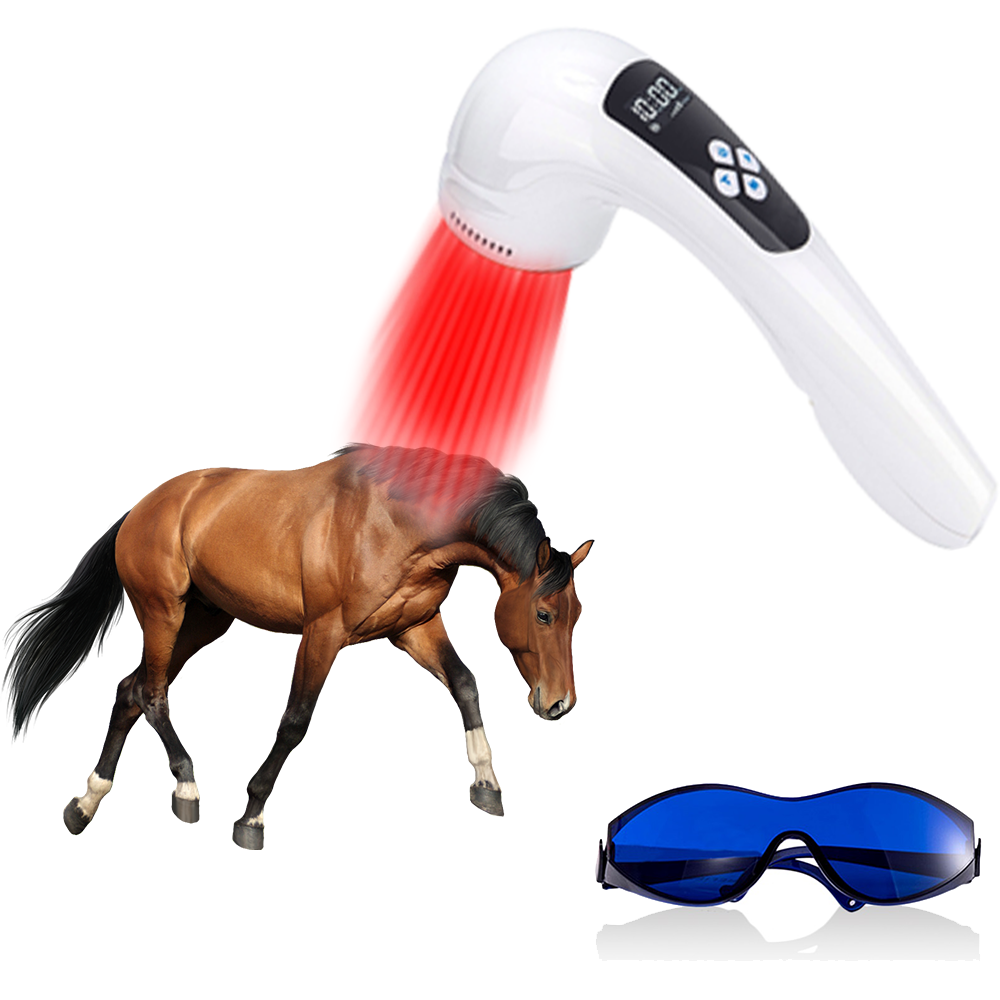 Vet Approved Infrared Therapy Relieves Dog Arthritis Pain Quickly
