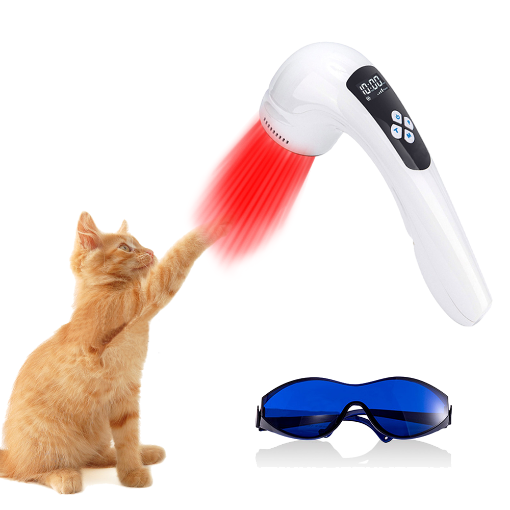 Vet Approved Infrared Therapy Relieves Dog Arthritis Pain Quickly
