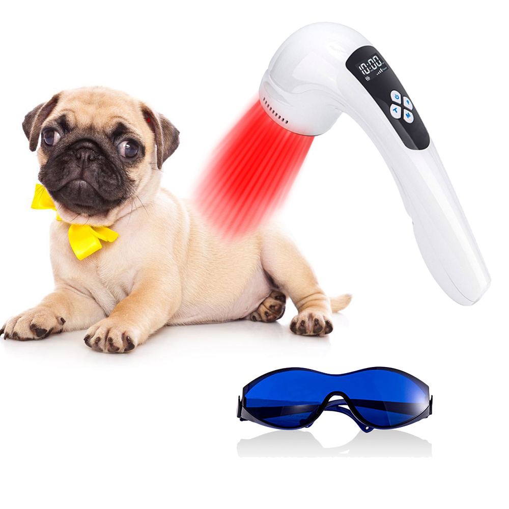 Vet Approved Infrared Therapy Relieves Dog Arthritis Pain Quickly