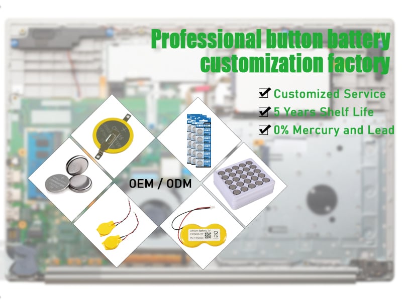 Li-MnO2 Battery