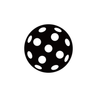 Pickleball Ball