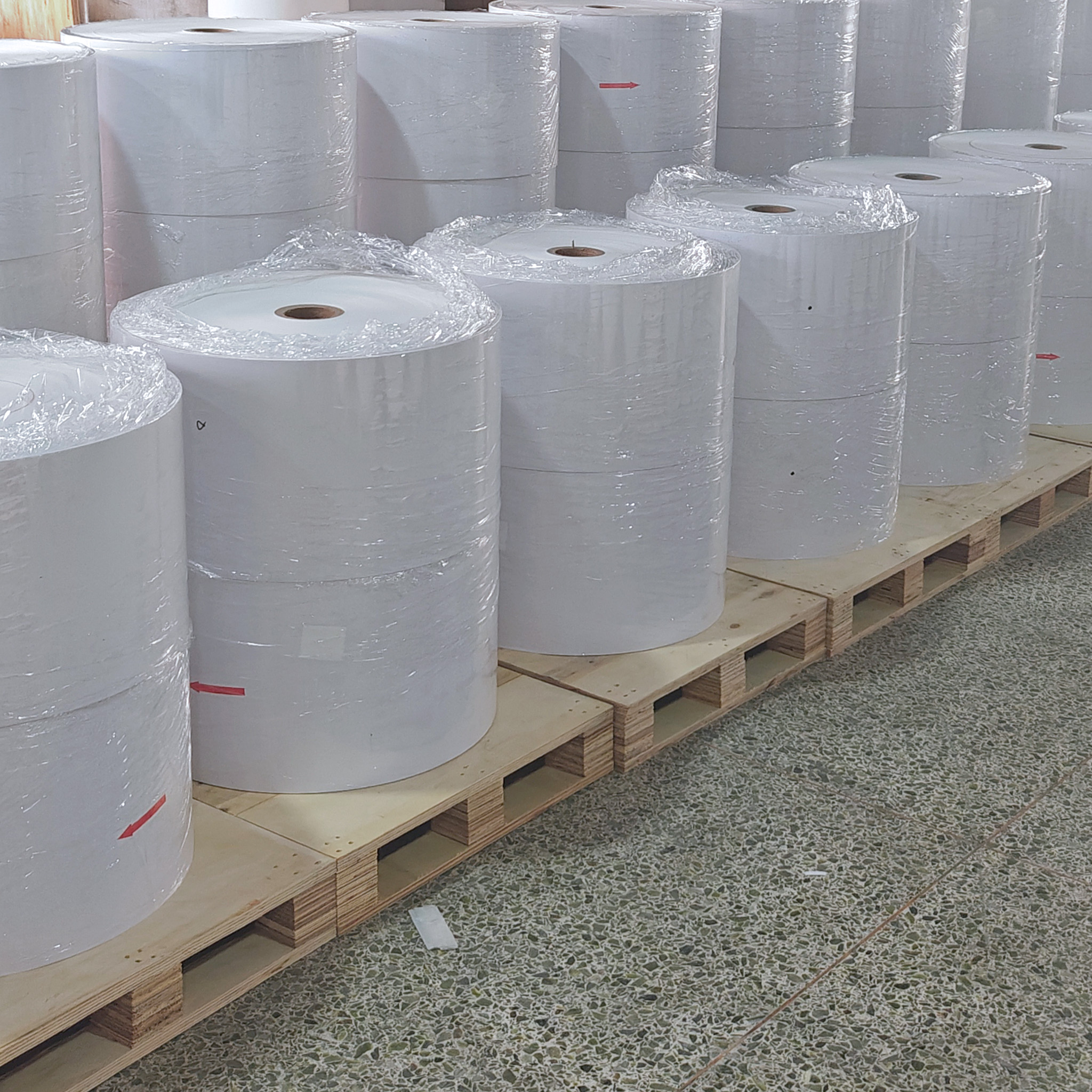 Synthetic Paper Self-Adhesive Labels Waterproof Tear-resistant Jumbo Roll for Cold Chain Logistics E-commerce