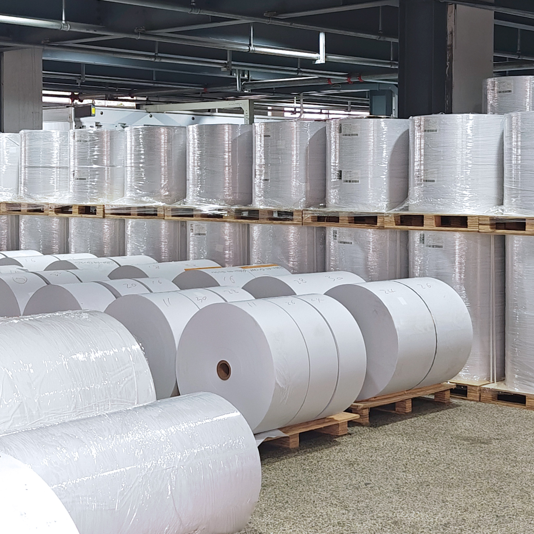 Synthetic Paper Self-Adhesive Labels Waterproof Tear-resistant Jumbo Roll for Cold Chain Logistics E-commerce