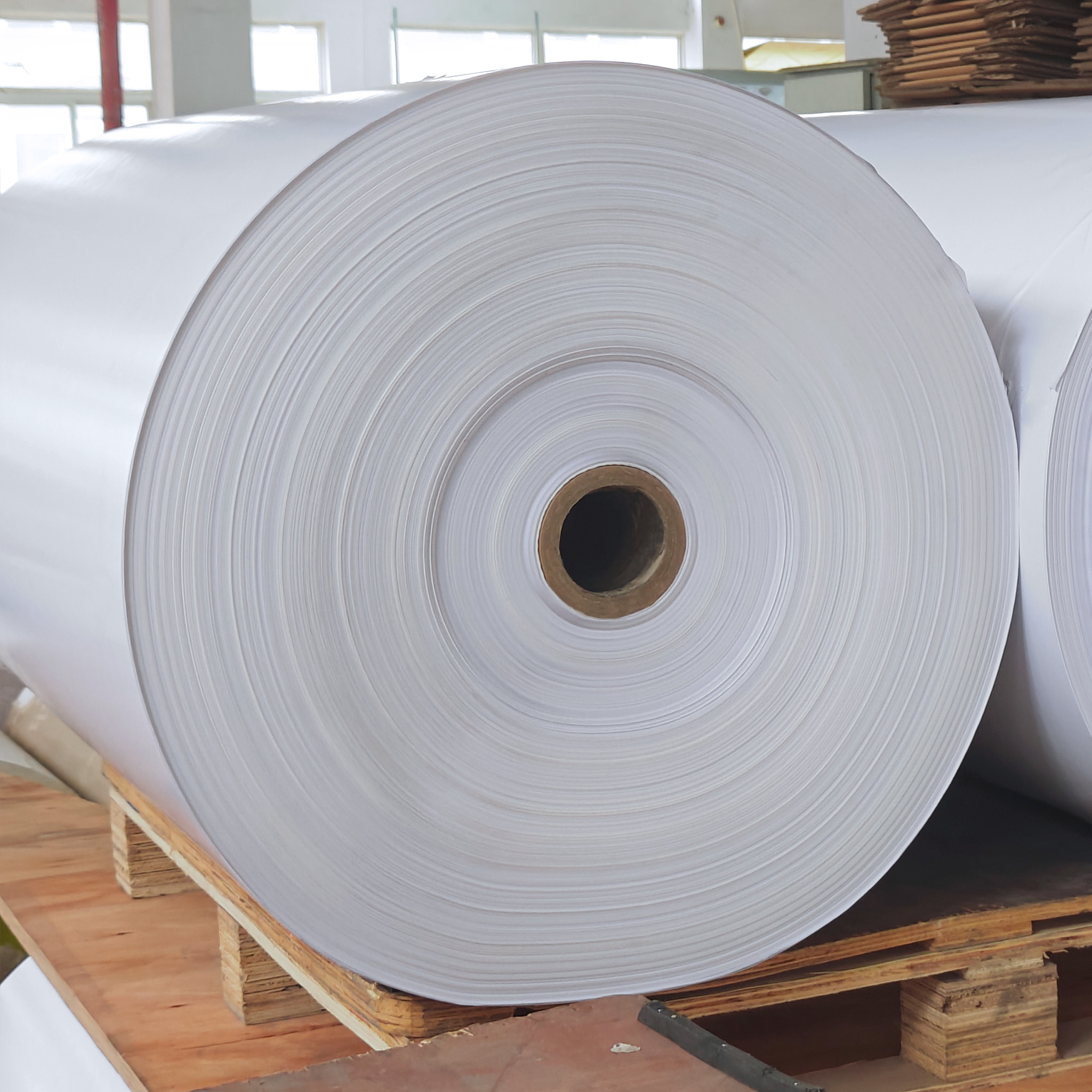 Synthetic Paper Self-Adhesive Labels Waterproof Tear-resistant Jumbo Roll for Cold Chain Logistics E-commerce