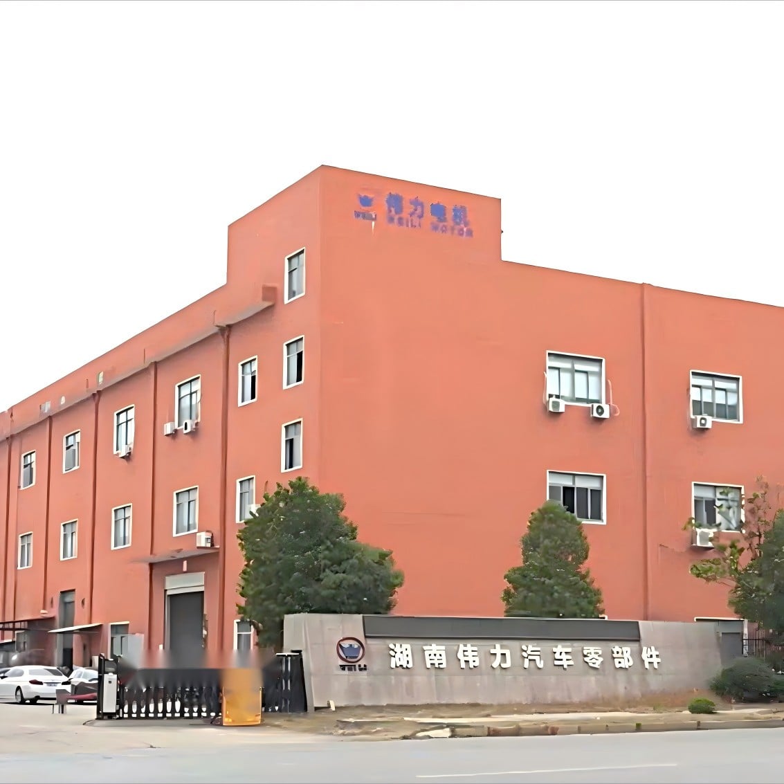 Our Company