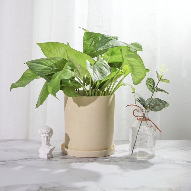 Custom ECO Friendly Cute Small Decorative Flower Pot Indoor Garden Ceramic Garden Pots & Planters