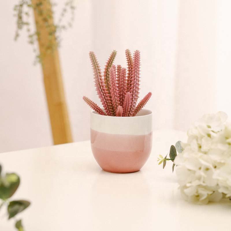Matte Indoor Mini Flower Pot Ceramic Succulent Pot Modern Home Decoration Christmas Nordic Plants Pot