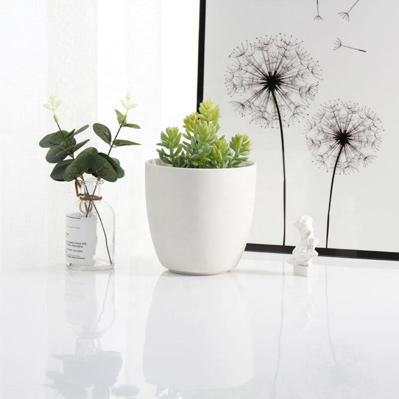 Colorful Ceramic Succulent Pots for Home Decor and Garden for Flower and Plant Care