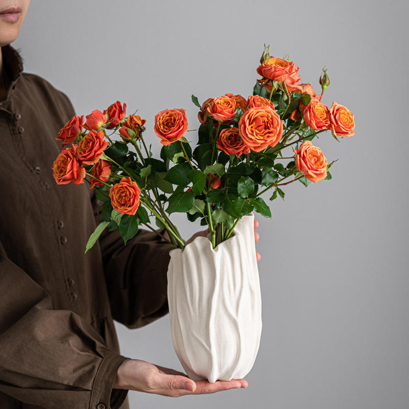 Creative Explosions Ceramic Vase Modern Home Desktop Decoration Alien Flower Arrangements Crafts Wholesale