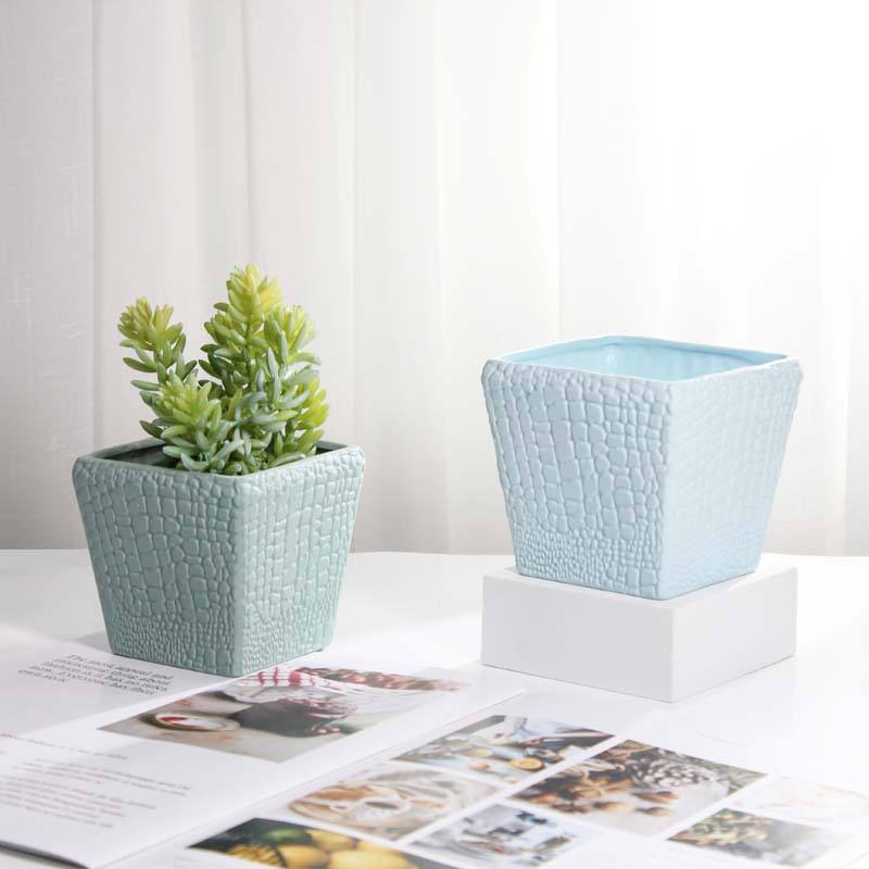 Modern Ceramic Succulent Pot Various Styles Indoor Herb Planter and Flower Pots for Garden Home Decor