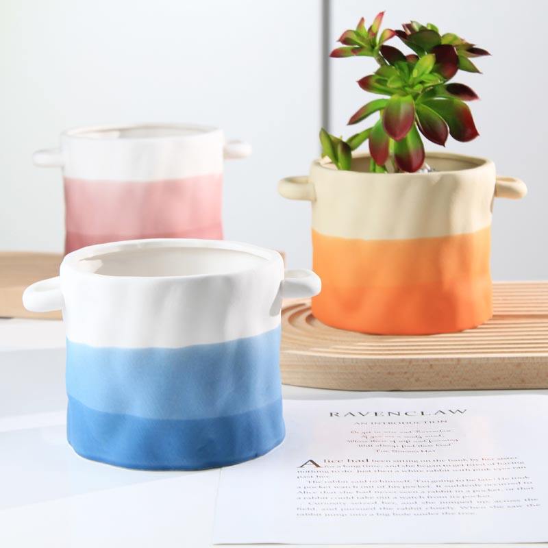 Nordic Style Home Desktop Office Decor Succulent Aloe Vera Potted Multi Color Ceramic Flowerpot