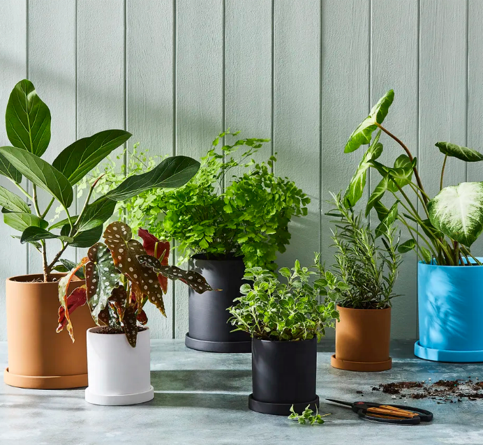 Best Seller Garden Home Decoration Colorful Nordic Tea Wholesale Ceramic Flower Planter Plant Pots