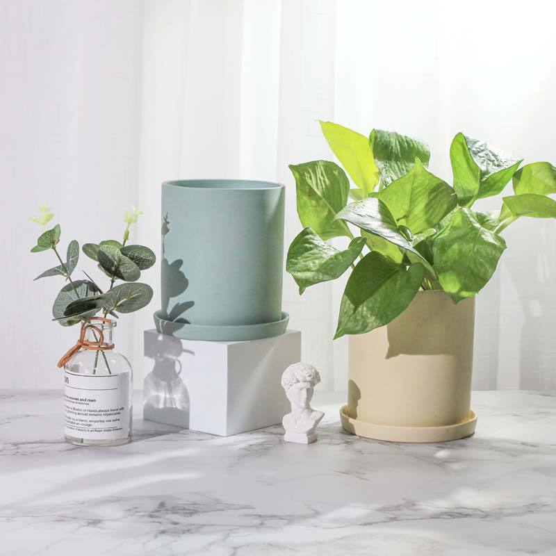 Modern Ceramic Succulent Pot Various Styles Indoor Herb Planter and Flower Pots for Garden Home Decor
