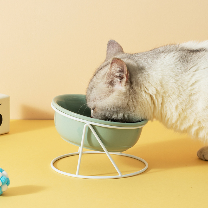 Pet bowl dog bowl cat Pet Ceramic Bowl Green White Ceramic Cat Bowl With Stand 