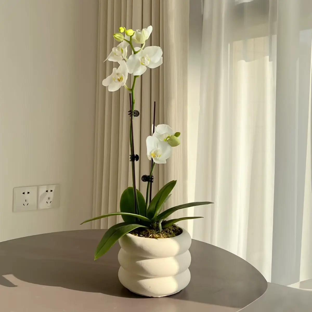 Modern Home Ornamental Special Indoor Ceramic Planter Flowerpot
