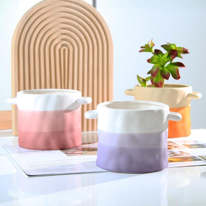 Nordic Style Home Desktop Office Decor Succulent Aloe Vera Potted Multi Color Ceramic Flowerpot
