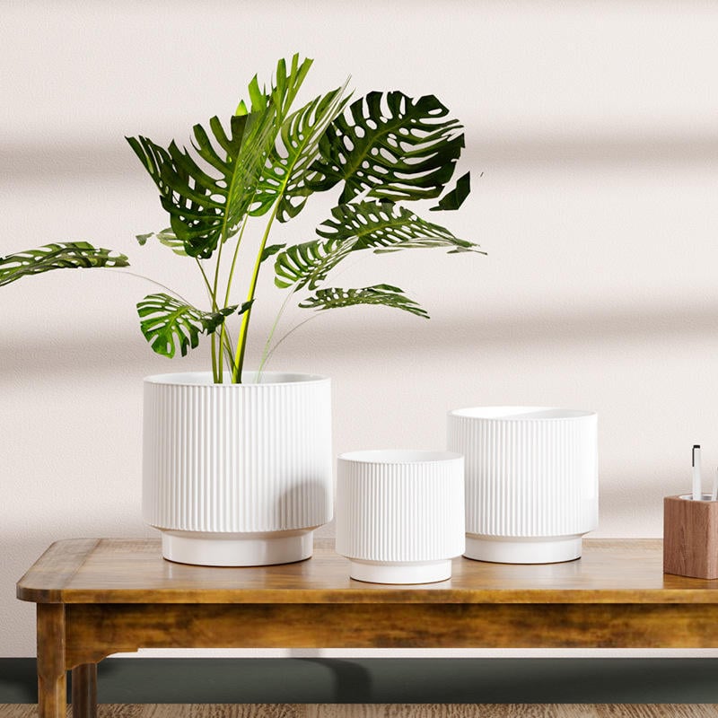Nordic Modern Morandi Style Straight Glazed Ceramic Flowerpot Set Hot Wholesale for Home Garden Planters & Flower Pots