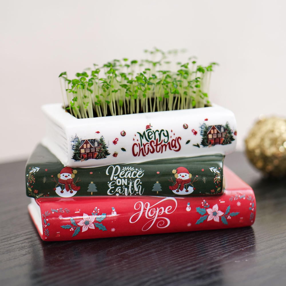 Handmade Modern Christmas Ceramic Vase Printed Pattern for Home Use Book Flower Pot Living Room Decor Artificial Succulents