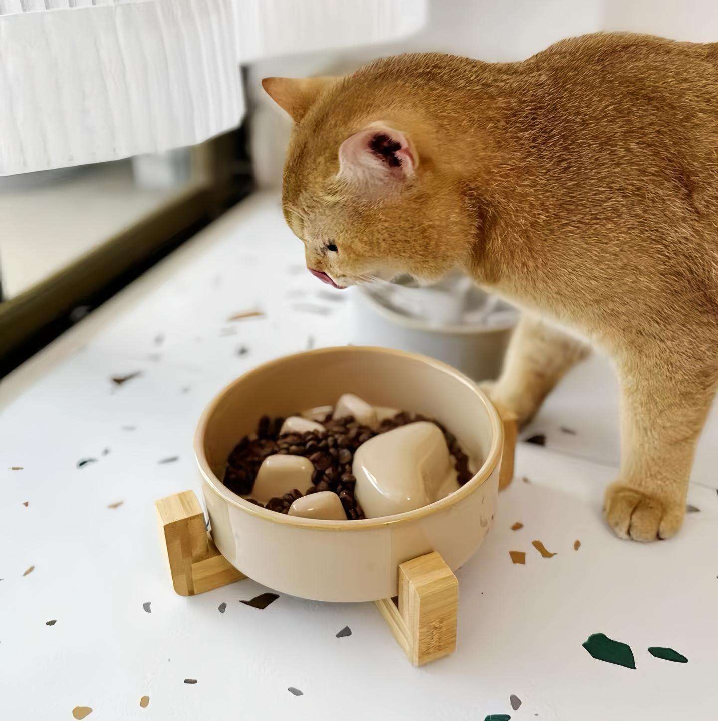 New Slow Food Bowl Elevated Ceramic Food Bowl for Dogs Cats Slow Feeding Bowl Anti Knock Anti Choke Feeder with Wooden Frame