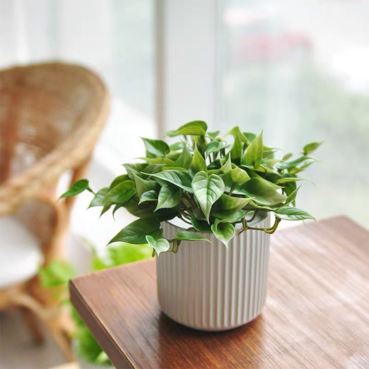 New Factory Custom Mini Small Glazed Planters Ceramic Planter Plant Flower Bonsai Pots