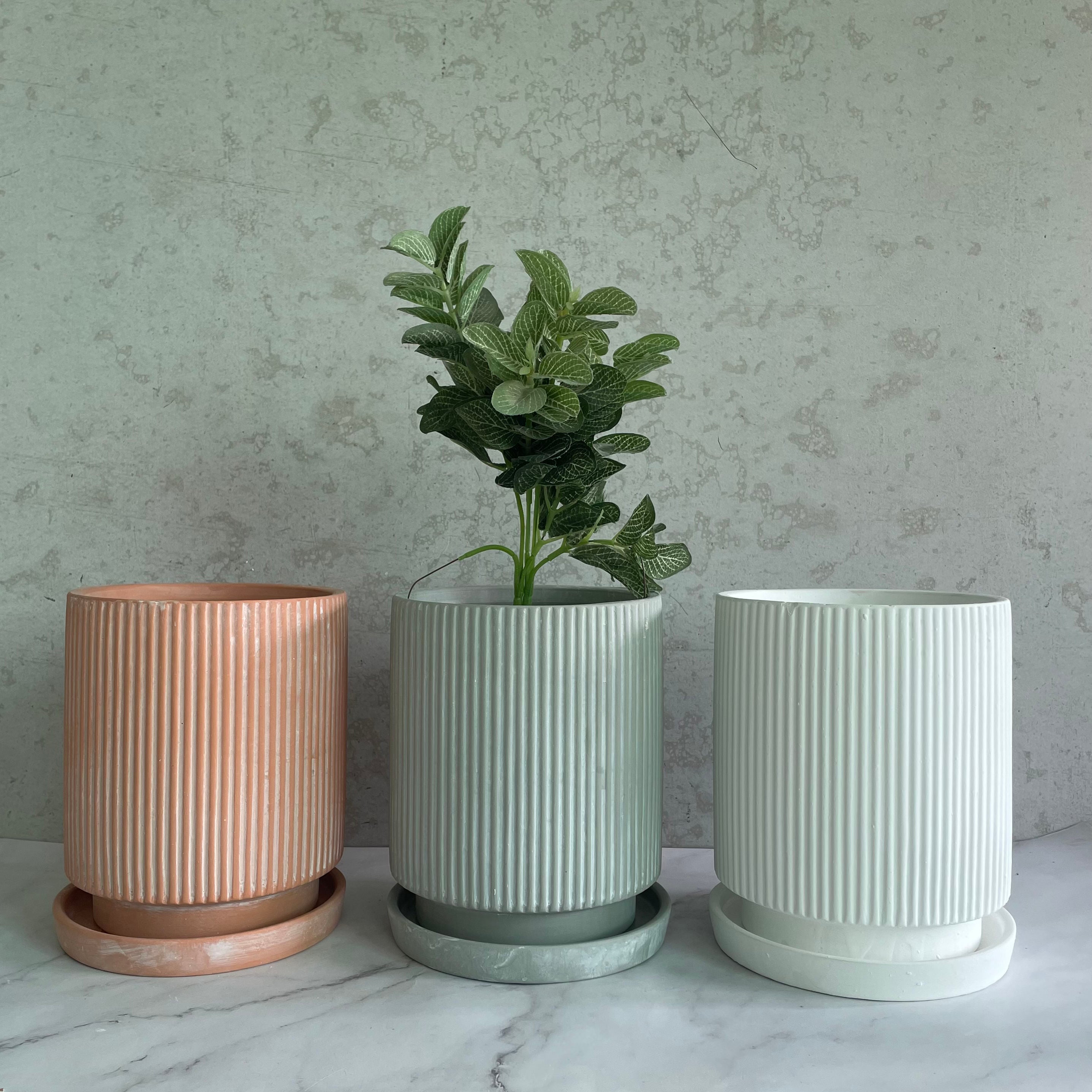 High Quality Home Balcony Succulent Planter Custom Color Nordic Matte Ceramic Flower Plant Pots with Tray